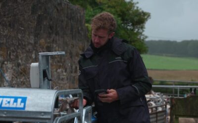 FARM SMART: The Sheep Game – From Police Officer to YouTube Sensation