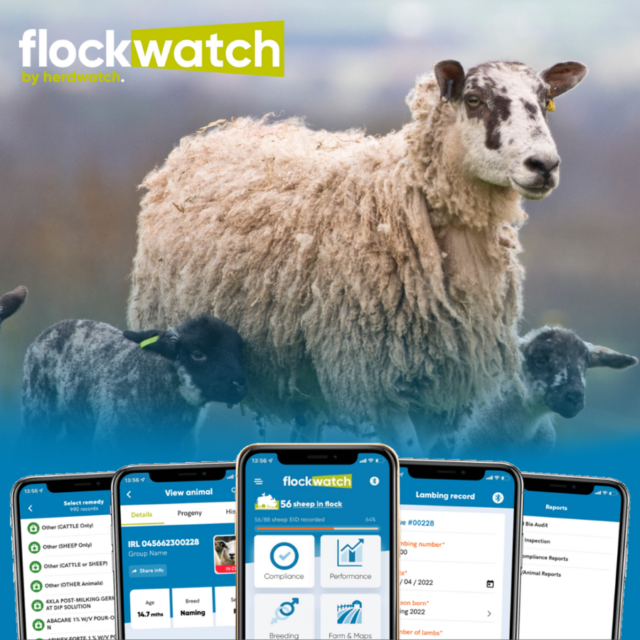 Flockwatch-sheep-logo